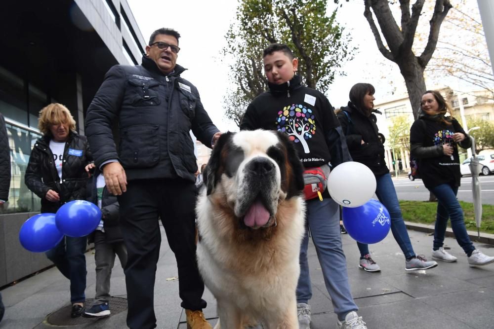 Marcha de sensibilización sobre la diabetes