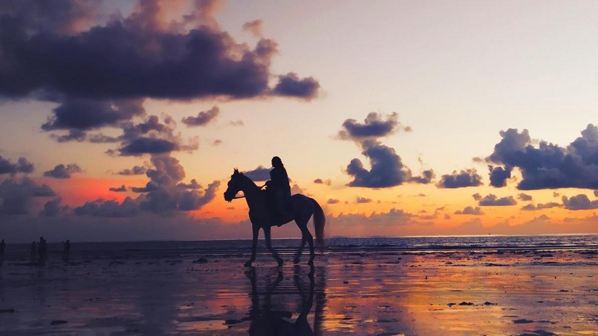 Paseo a caballo por la playa.