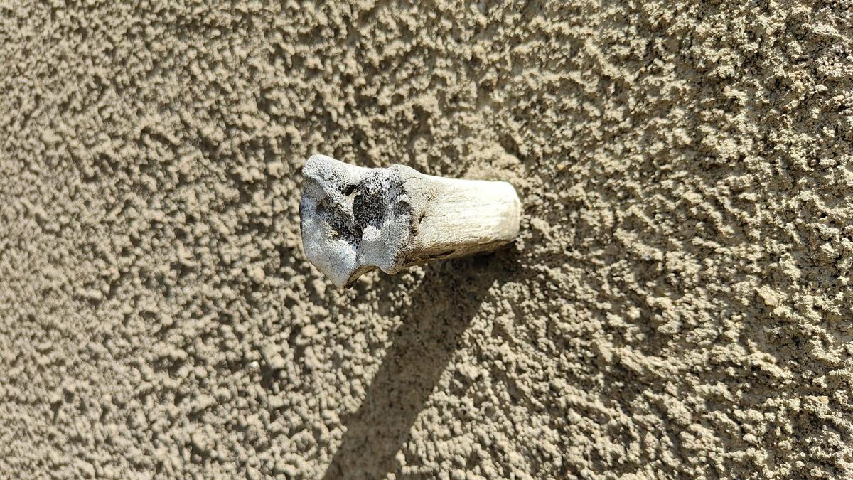 Un hueso de ternera en la fachada del Hostal dels Ossos, en La Garrotxa.