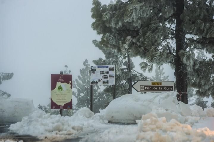 NIEVE EN LA CUMBRE