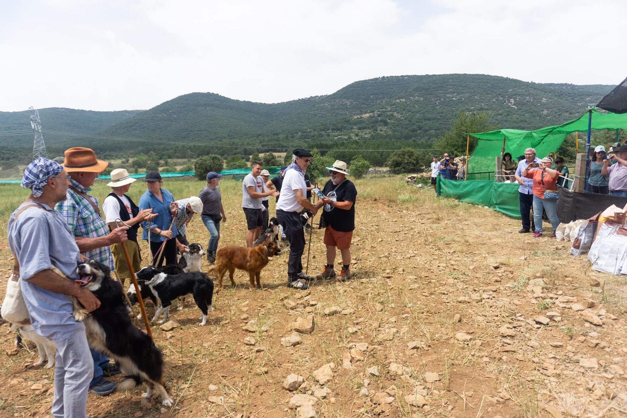 FOTOGALERÍA: Las imágenes del concurso de perros pastores de Ares del Maestrat