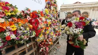 Vídeo: Ofrenda floral a la Virgen del Lledó en la plaza Mayor de Castelló
