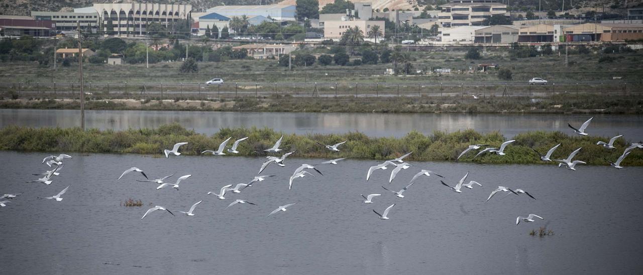 Los técnicos constatan, según la Ley, que el camping ocuparía zona del paraje natural