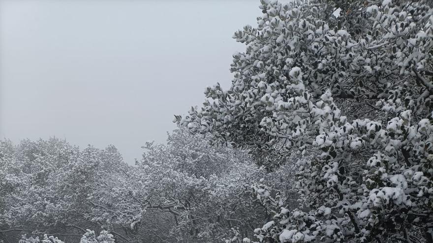 Primeras nieves en La Safor
