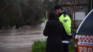 Las huertas de Pedro Díaz y La Graja, primeras zonas alcanzadas por la crecida del Genil en Palma del Río