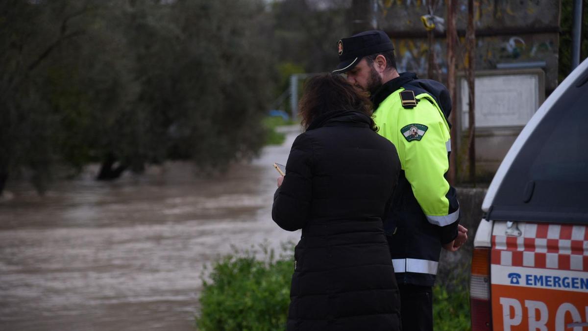 Las crecidas del Genil y del Guadalquivir en Palma del Río