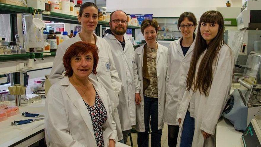 Un fármaco contra el cáncer podría combatir la ELA