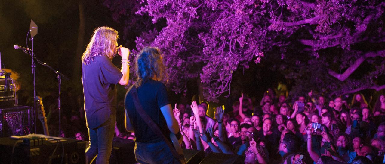 Concert de Sopa de Cabra sota l’alzina centenària del Mas Querol, a Fonollosa | ARXIU/MARTA PICH