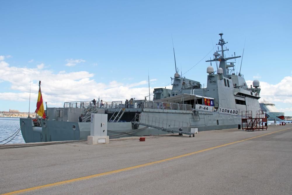 Flottenverband im Hafen von Palma de Mallorca