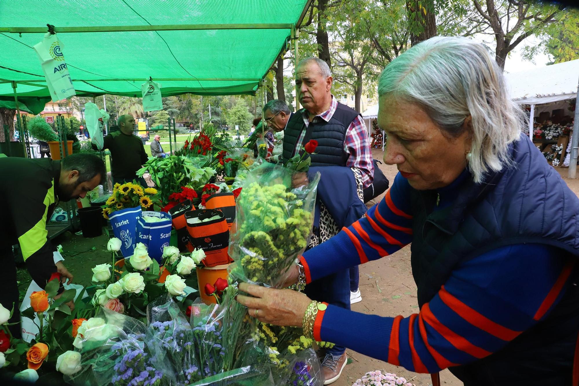 Cementerio de San Rafael