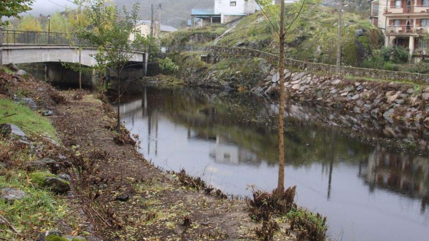 Ribadelago Viejo toma medidas ante el riesgo de inundaciones