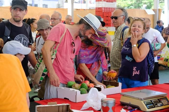 Mogán. Feria del Mango y Aguacate  | 01/09/2019 | Fotógrafo: José Carlos Guerra