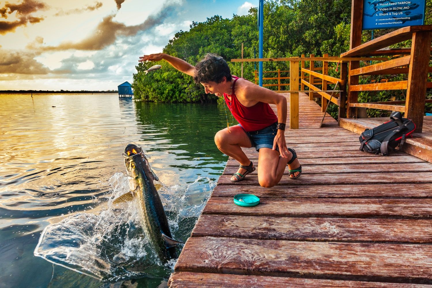 Dando de comer a los peces en Cayo Caulker.