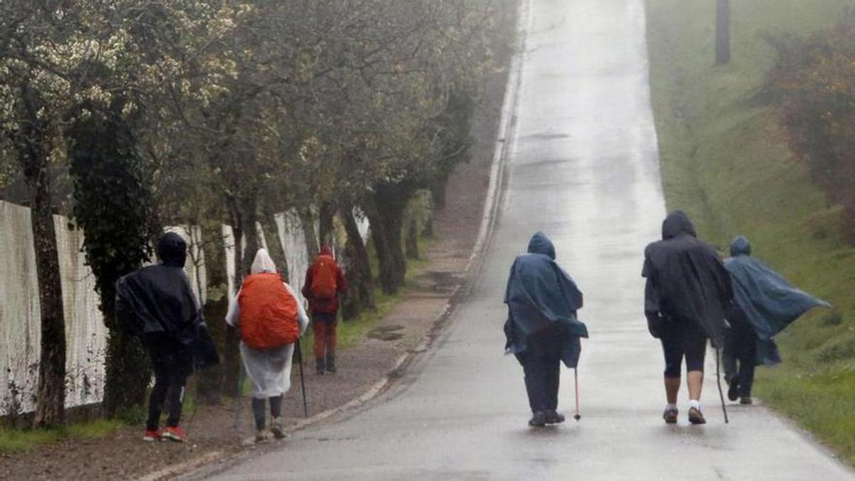 Peregrinos durante una etapa de el Camino