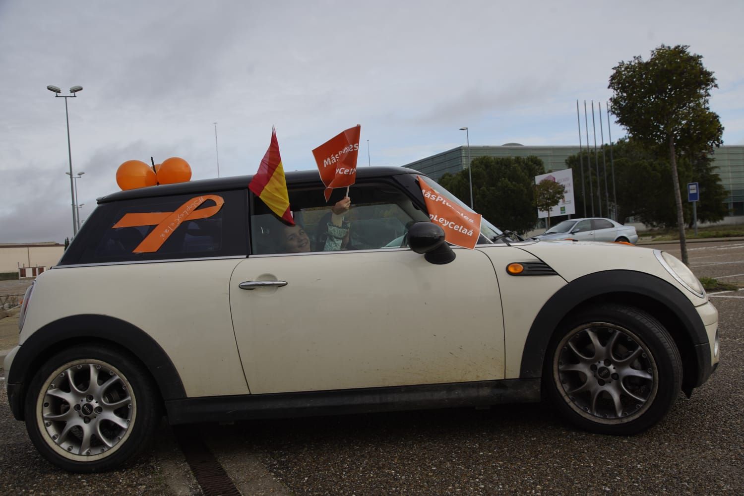 GALERÍA | Así se ha desarrollado en Zamora la manifestación en coche contra la Ley Celaá