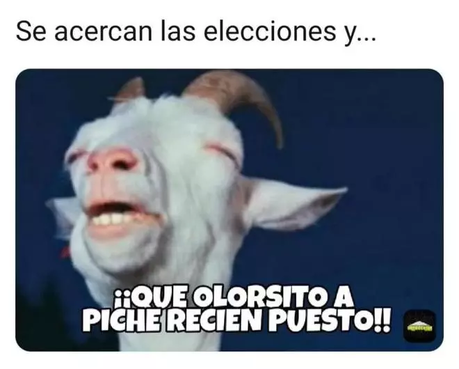 Memes y virales de 2019 en Canarias