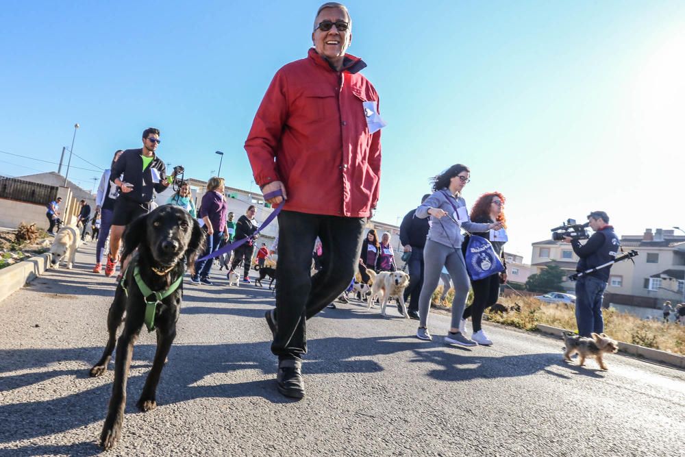 Almoradí celebra su primera Caminata Solidaria con animales