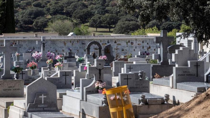 Vista del cementerio de Mingorrubio