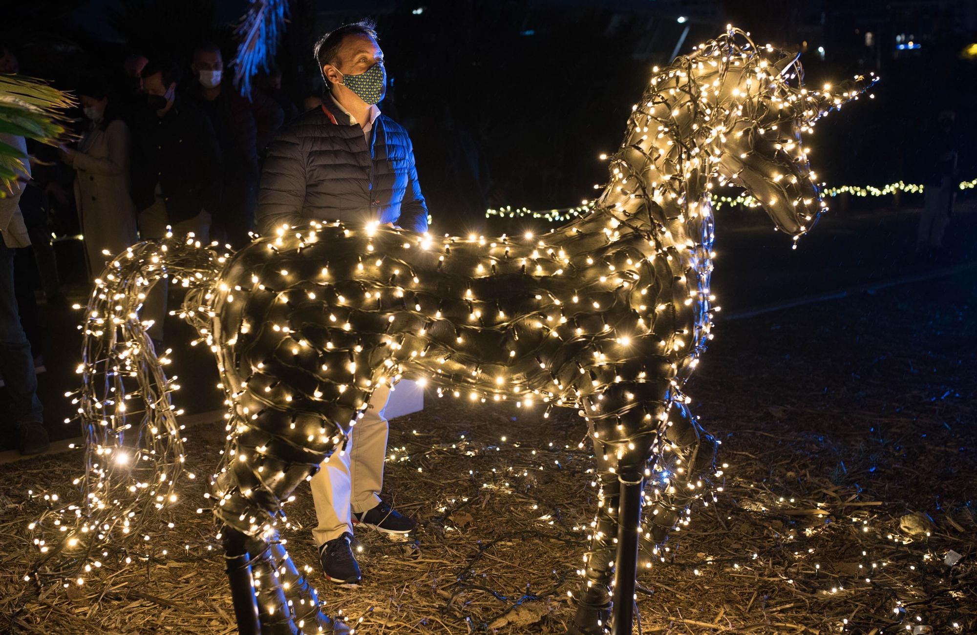 Estreno del espectáculo 'Naturaleza Encendida' en el Palmetum