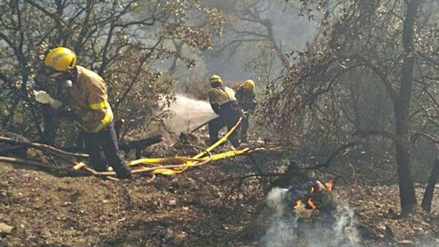 Bombers treballant en l&#039;incendi de Capellades, al final de juliol