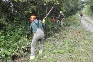 Casi 11.000 dueños encargan a la Xunta el desbroce de fincas para prevenir incendios