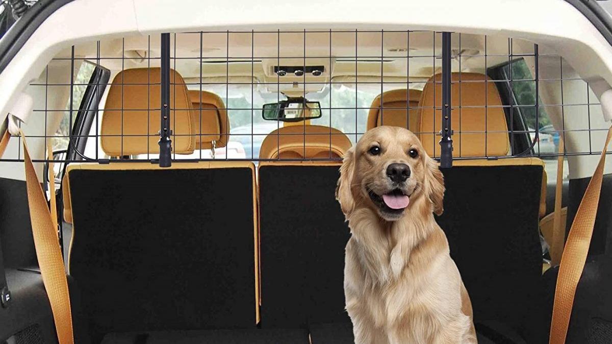 Rejillas de coche para viajar con su perro este verano