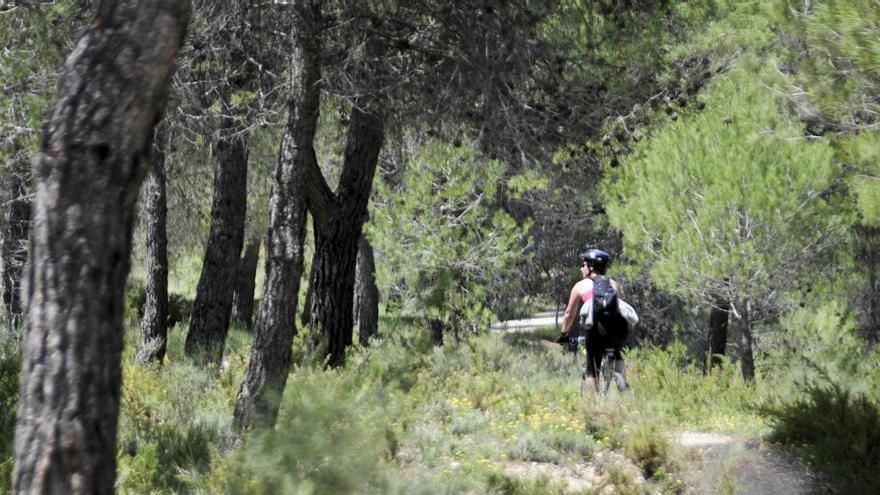 La Diputación retoma en septiembre su programa de senderismo en La Mola y la Sierra de Mariola