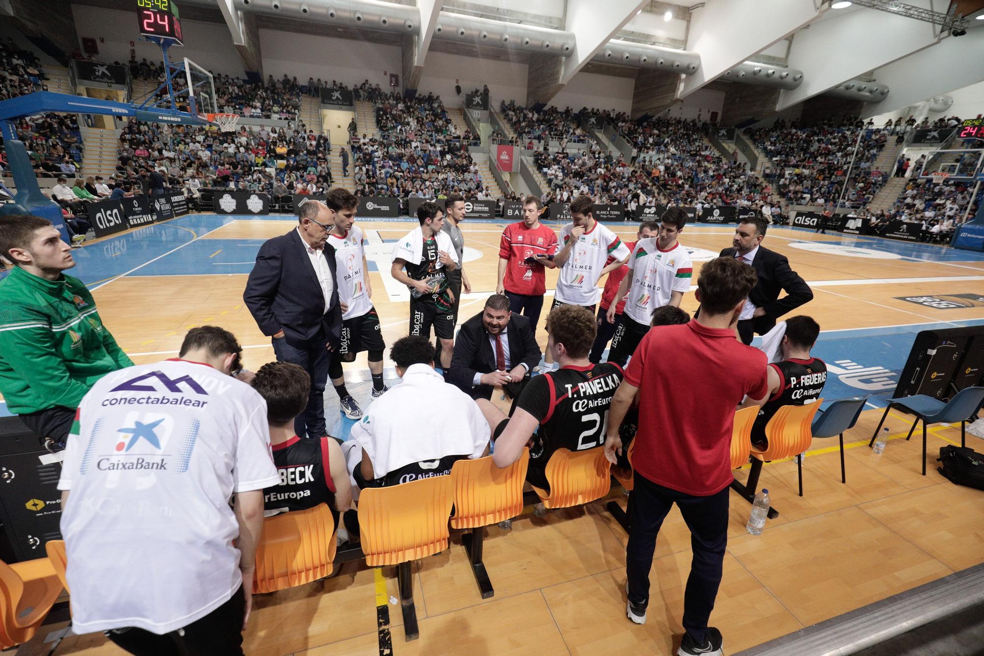 El Palmer Palma vence al Girona de Marc Gasol en Son Moix