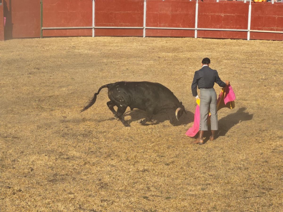 GALERÍA| Tarde de toros en Alcañices
