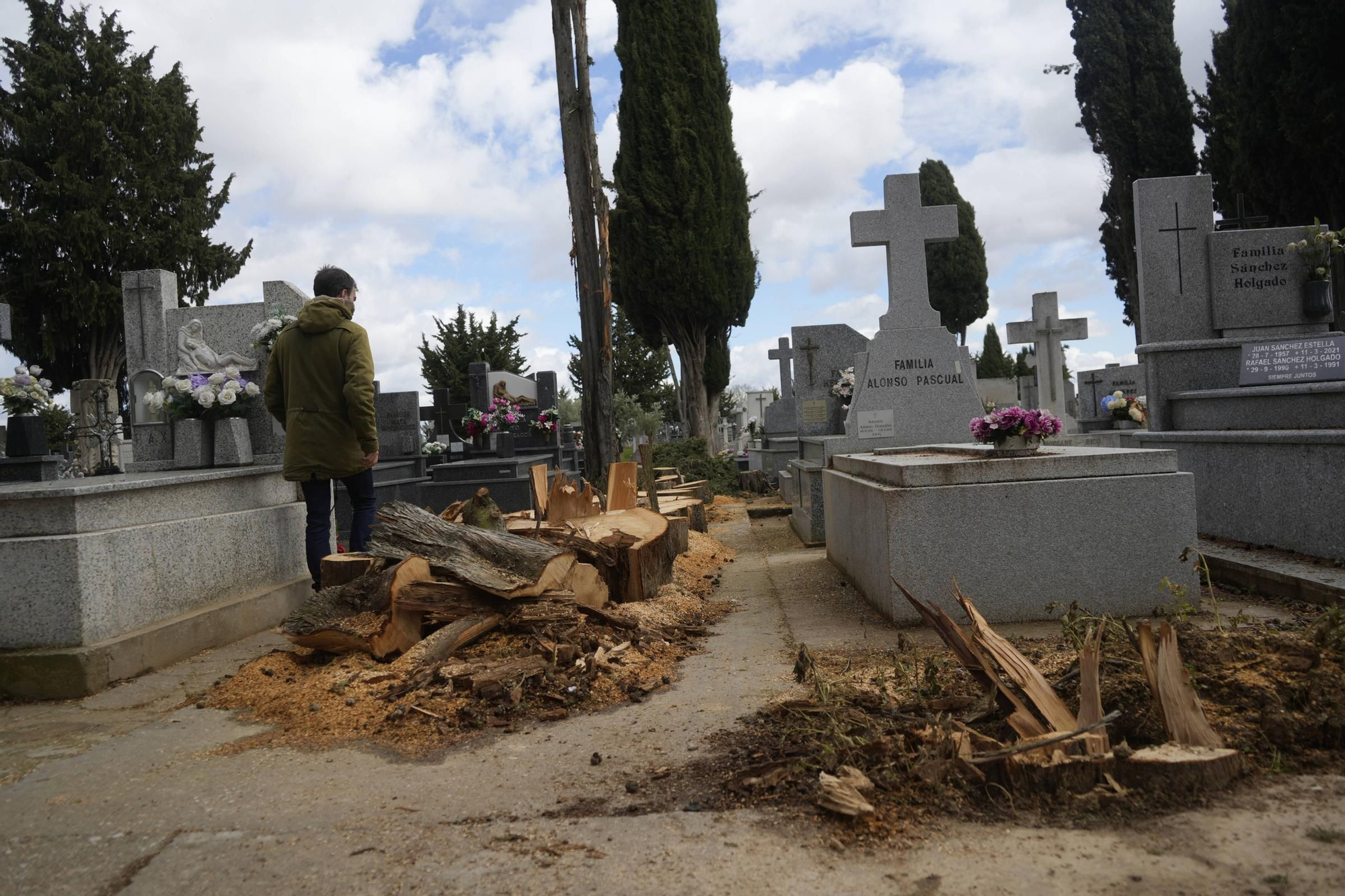 Los importantes daños del temporal en el Cementerio de Zamora