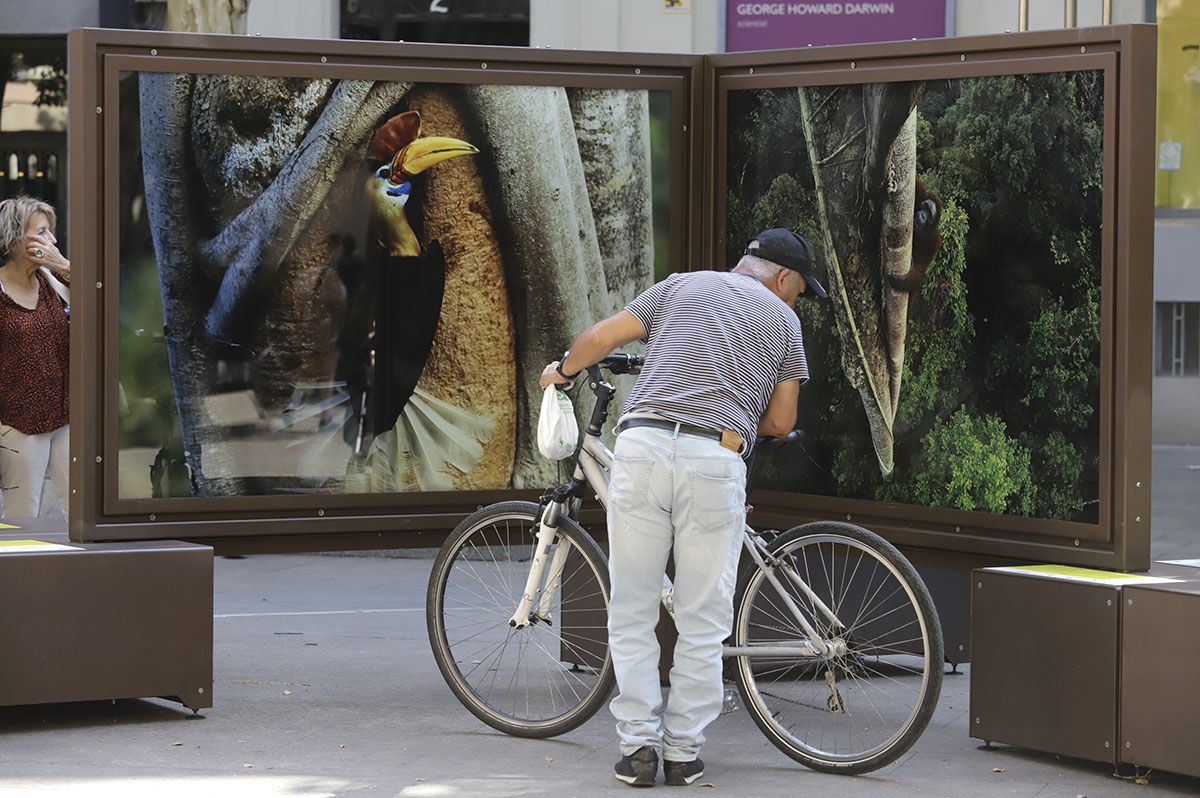 Las fotos de National Geographic en la Bienal de Córdoba