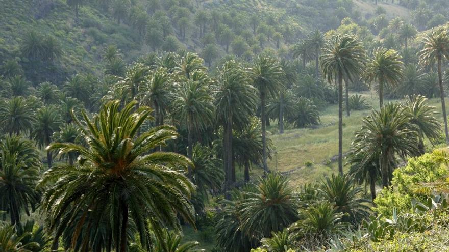 Así es el pueblo de Canarias que parece Indonesia
