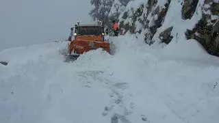 10 años de la gran nevada en Mallorca: la Serra de Tramuntana cubierta por 40 centímetros de nieve