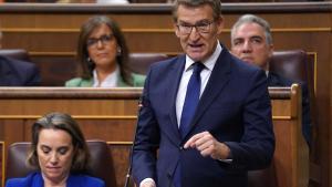 Alberto Nuñez Feijóo  durante la sesión de Control al Gobierno en el Congreso.