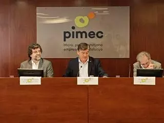 Cañete (Pimec) exige "mecanismos similares" a la excepción ibérica para que los precios de la luz sean justos