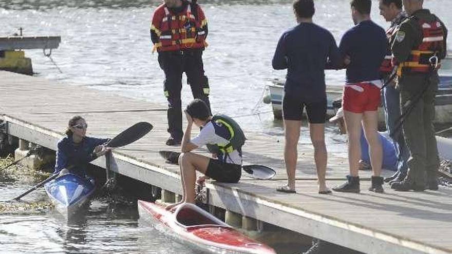 Operativo para el rescate del cisne herido, que no apareció. / la opinión