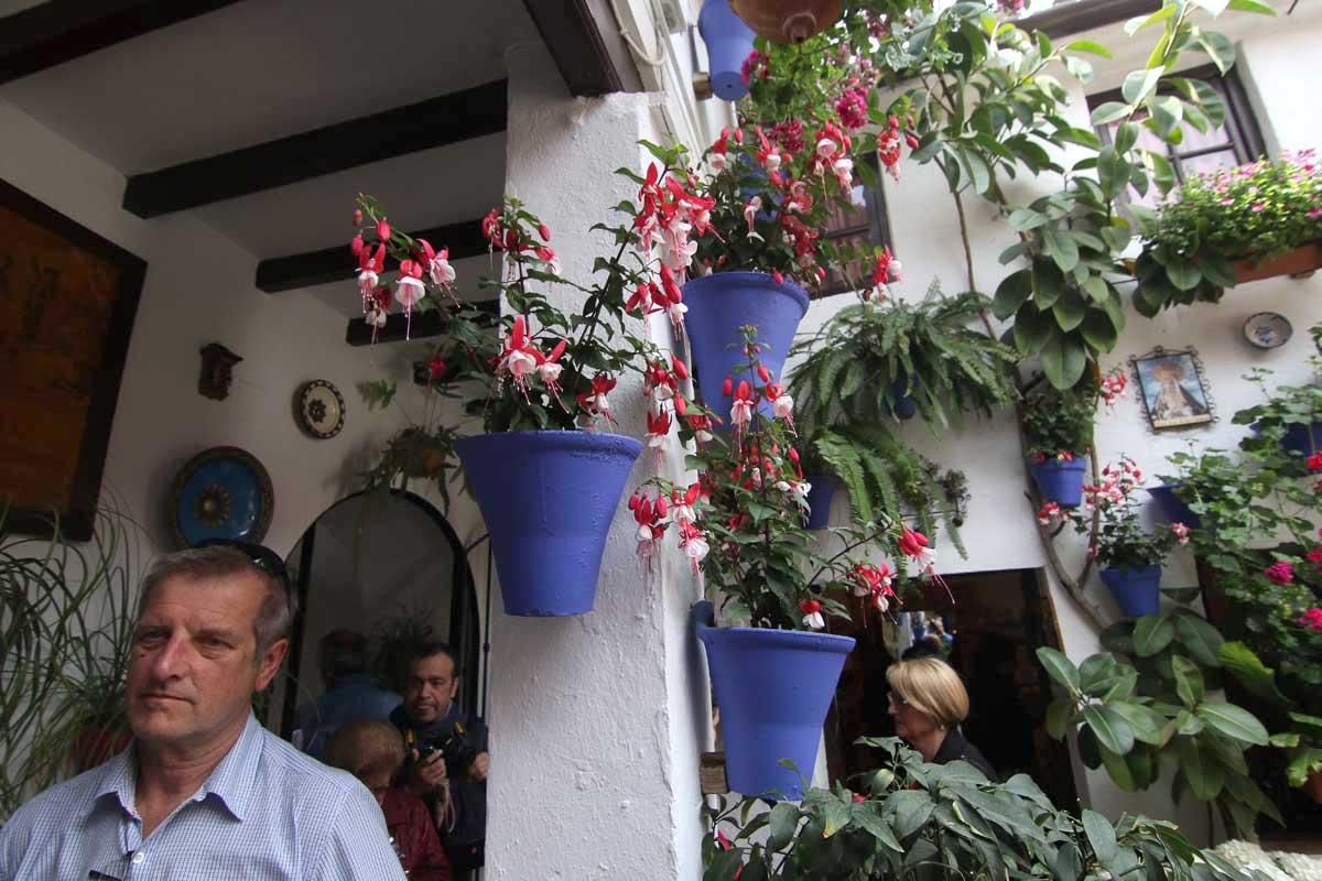 Paseando, patio a patio, por el Alcázar Viejo