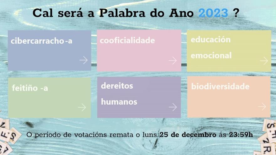 Cibercarracho ou feitiño? Comeza a votación para a Palabra do Ano en Galicia