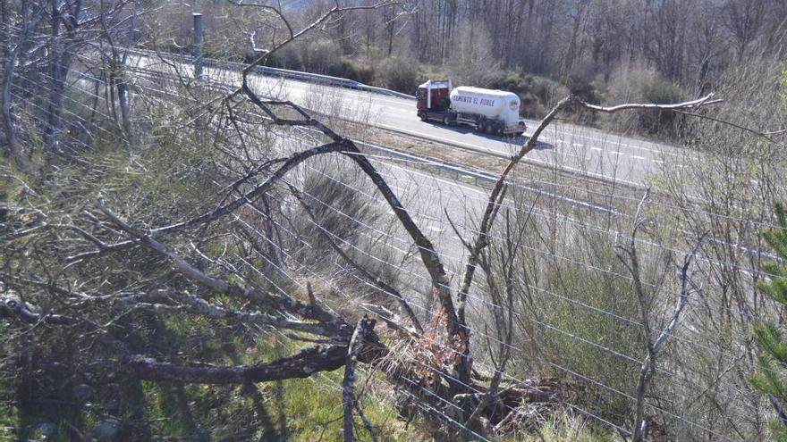 Fomento reanuda los trabajos en la A-52 a la altura de Requejo de Sanabria