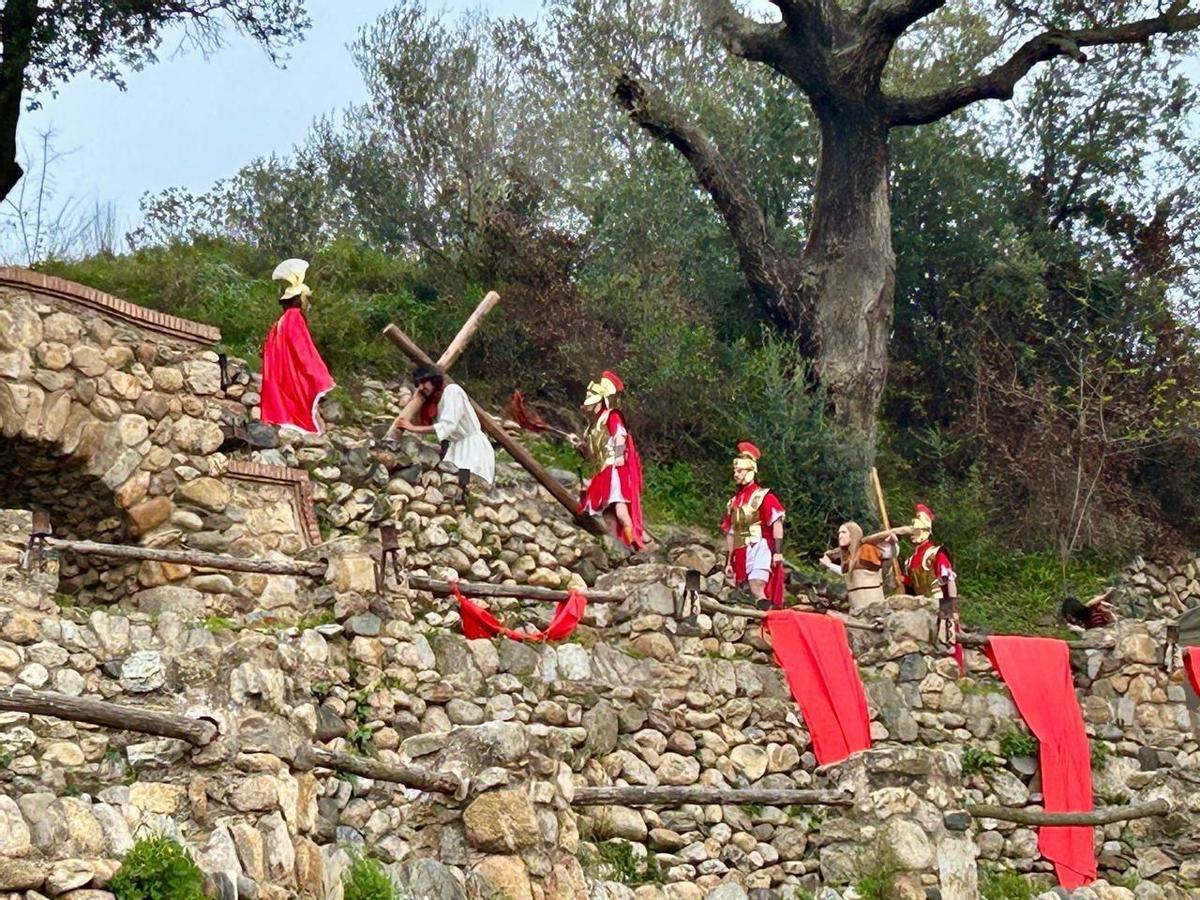 Enguany es faran cinc representacions a la tarda, majoritàriament a les 18h.