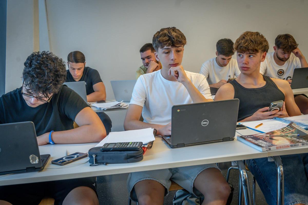 Un grupo de estudiantes se prepara los exámenes de la PAU en una biblioteca.