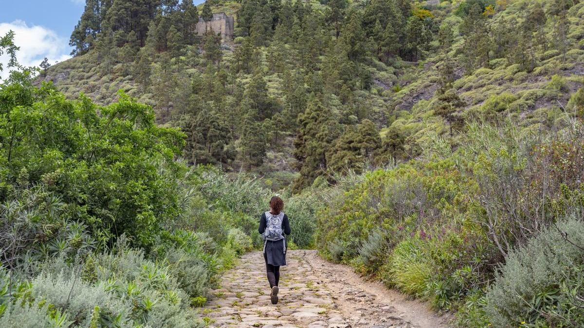 Una mujer camina en el sendero de El Guiniguada.