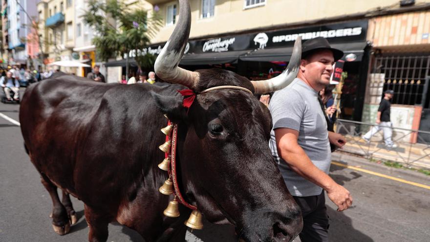 Los agricultores de Canarias sacan los tractores: de vuelta a los orígenes