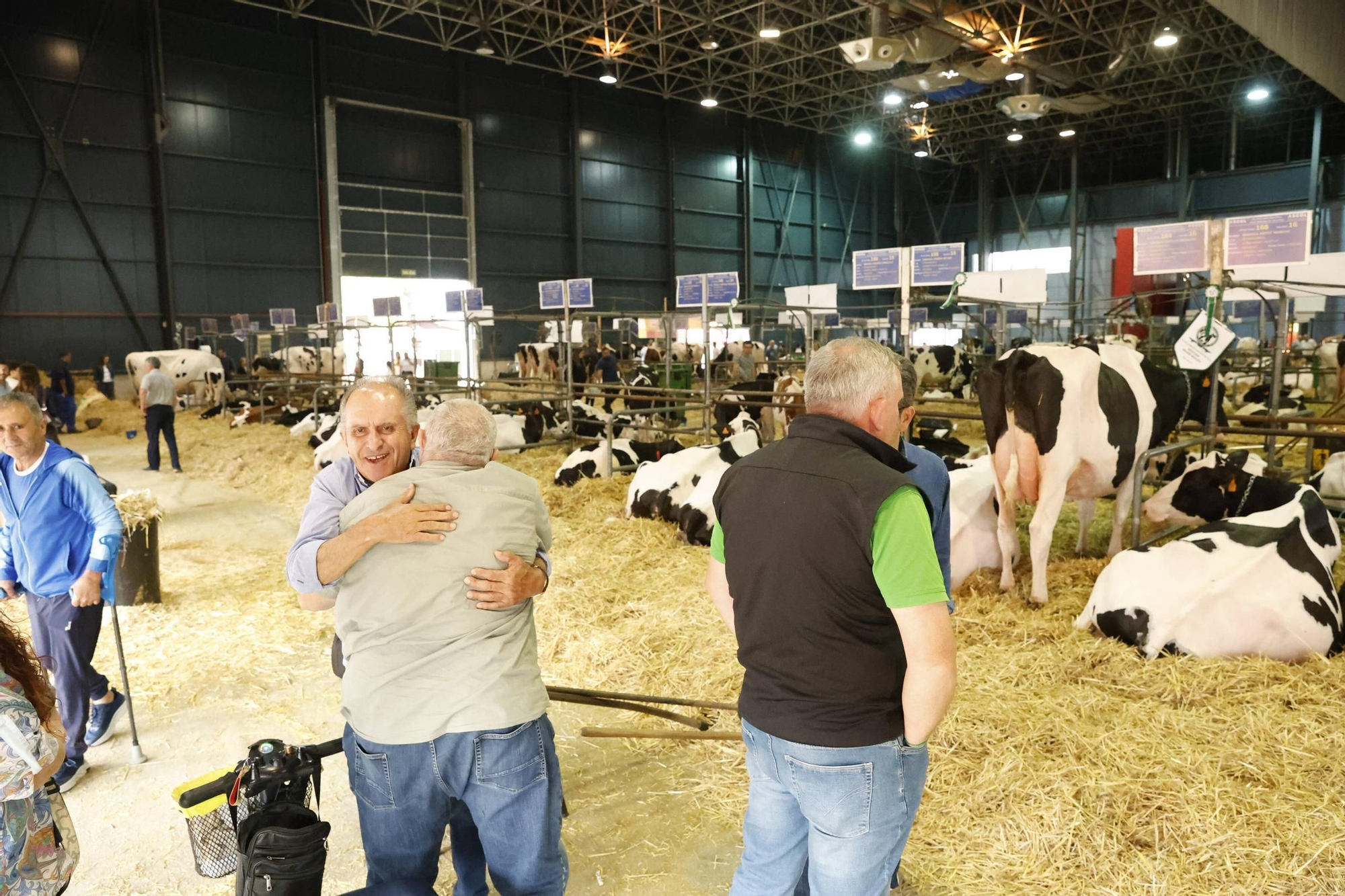 El último día de la Feria de San Antonio en Gijón, en imágenes