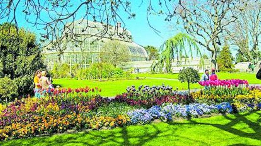 Ciudades biofílicas - La Provincia - Vimarsana News