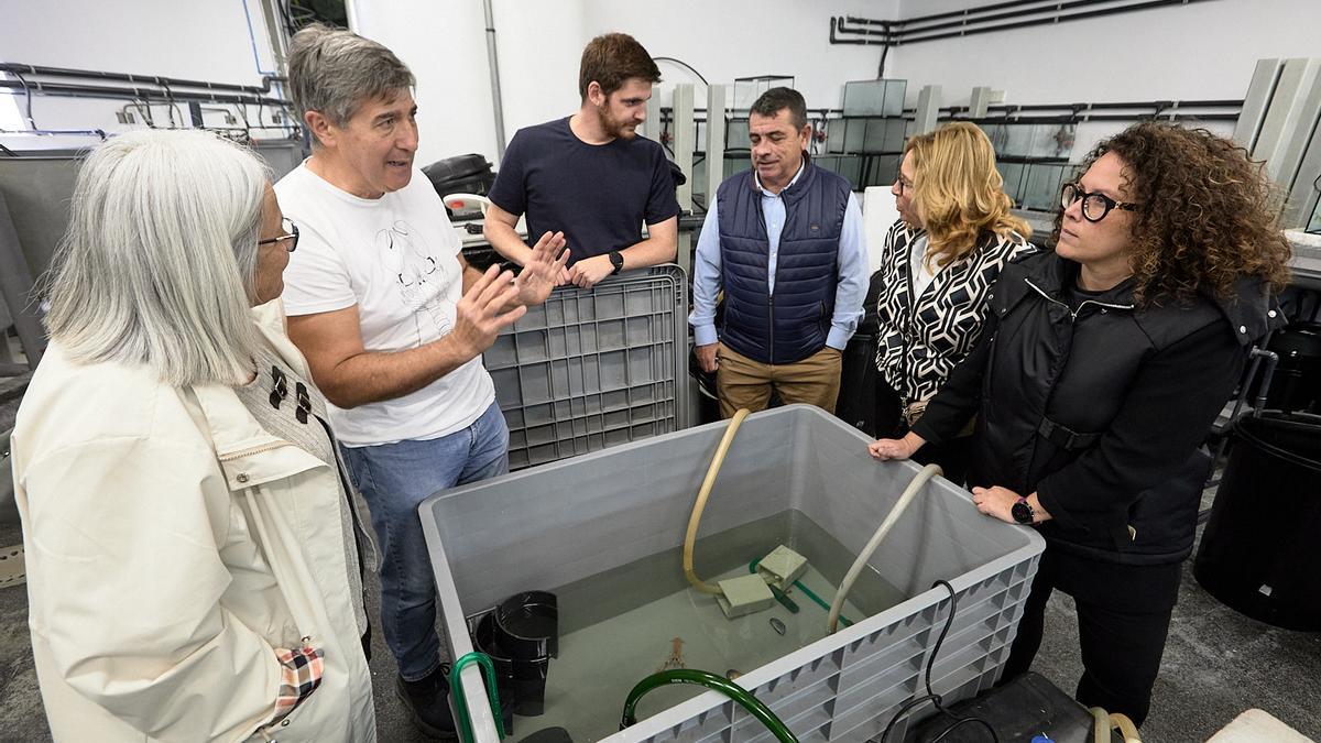 Visita de la presidenta de la cofradía Carmen Argudo y de la concejala Alícia Izquierdo al Campus de Gandia.