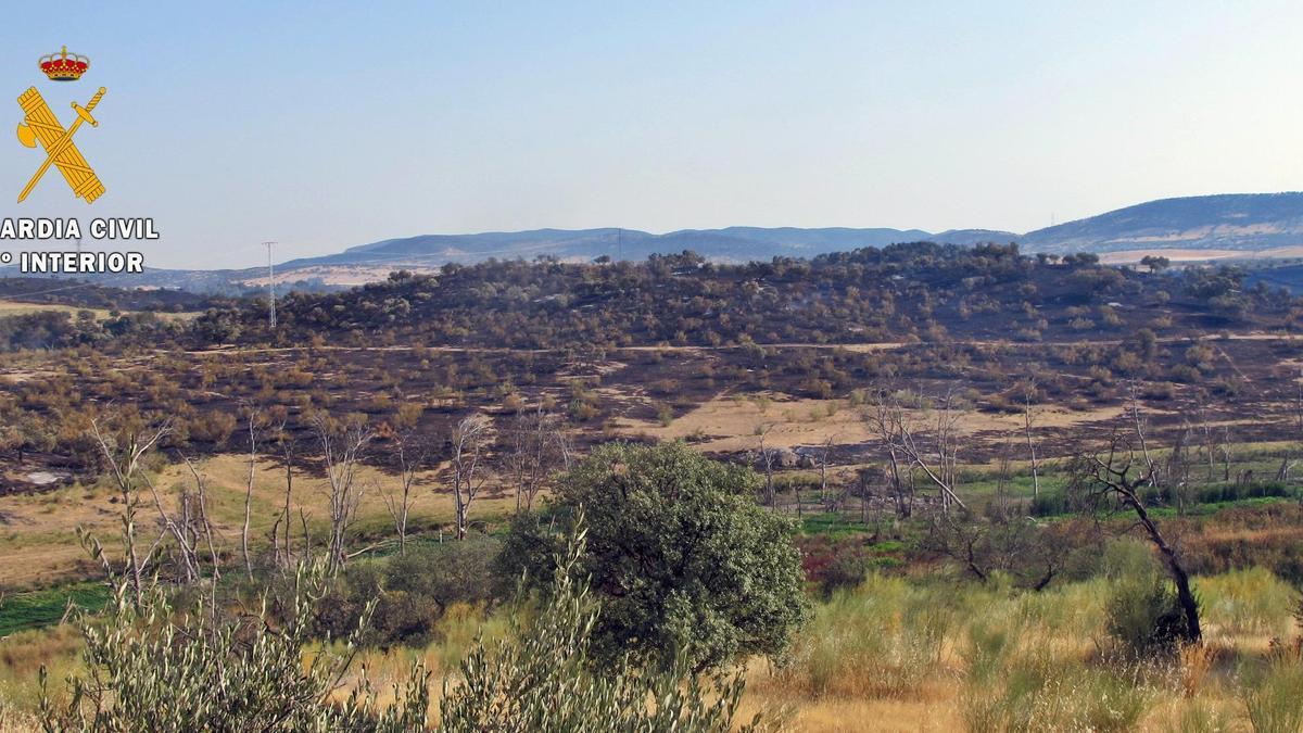 Parte del terreno arrasado por el incendio.