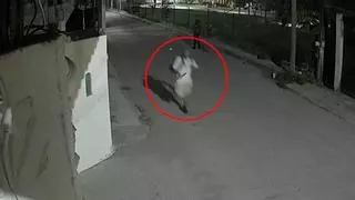 Quién es Paco 'El Trompas', un conocido delincuente de Cuautla y presunto asesino de la estudiante española Claudia Tacoronte