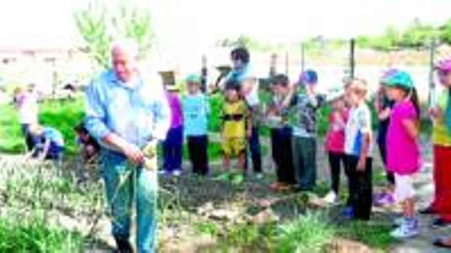 Los alumnos se hacen agricultores