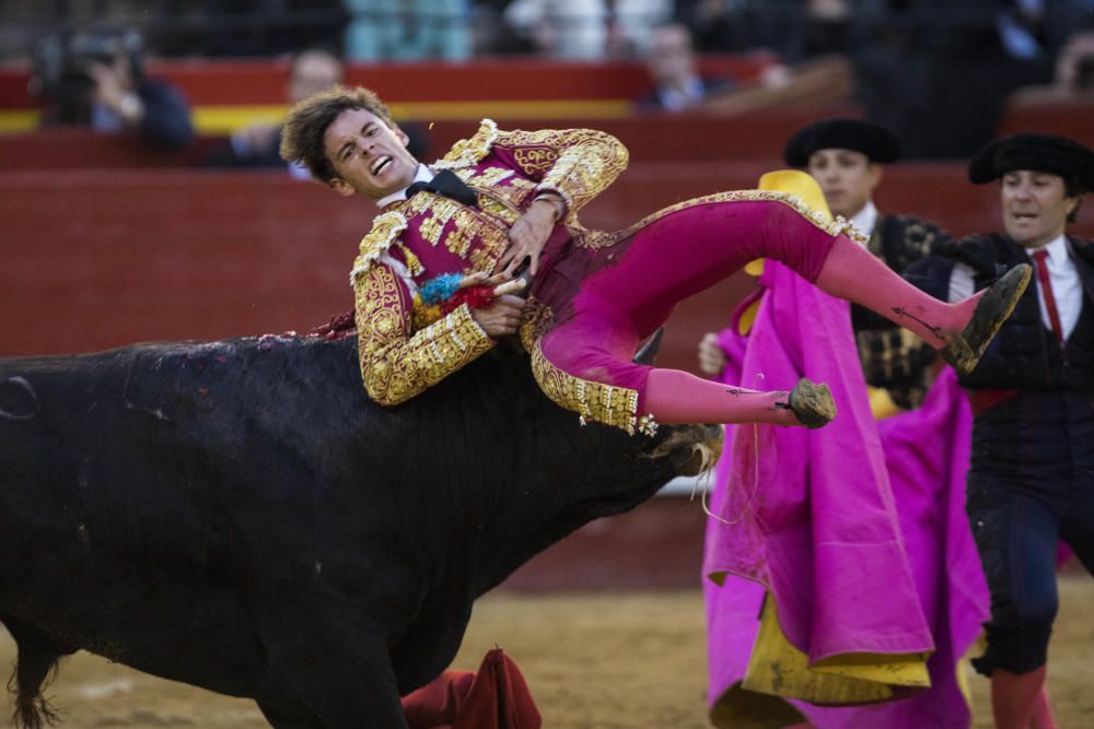 Las mejores imágenes de los fotoperiodistas de Levante-EMV por el Día de la Fotografía